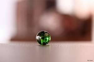 5762004042_f4e99009f2